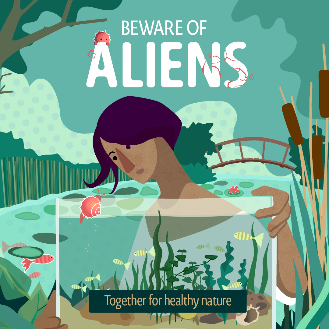 Beware of Aliens
